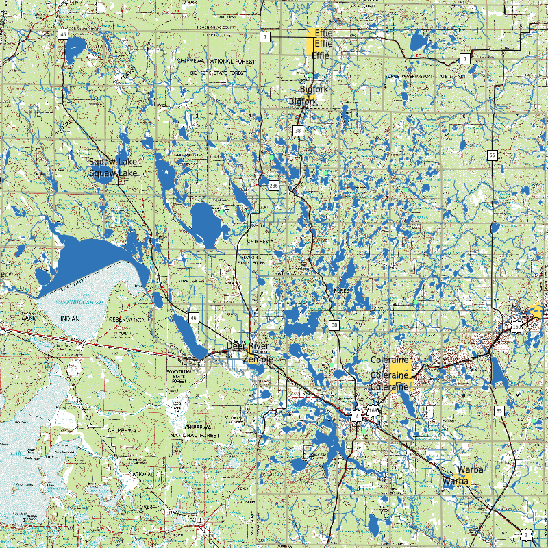 Output image from MapServer WMS